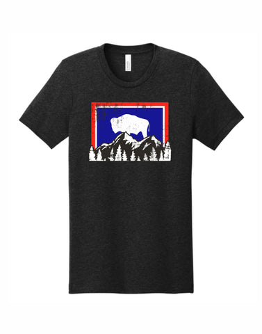 T072 - WY Mountain T-shirt