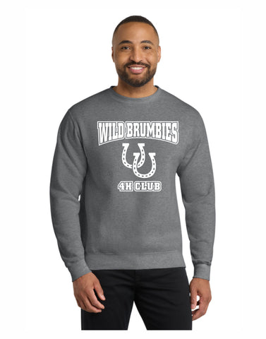B - Wild Brumbie Crew (Graphite)