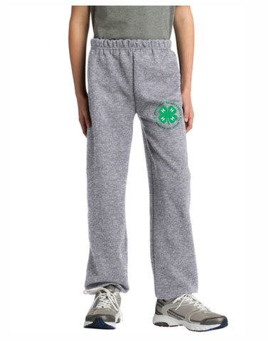 D1 - Stompin' Steamboat Youth Clover Sweatpants